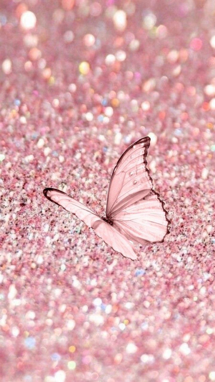 Glow Butterfly Pink Wallpaper