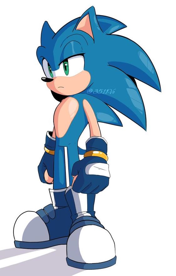 Sonic Fan Characters (10)