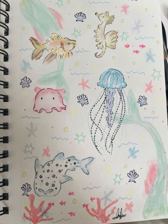 Marine Life Drawing   Cute Sea Animal Sketch