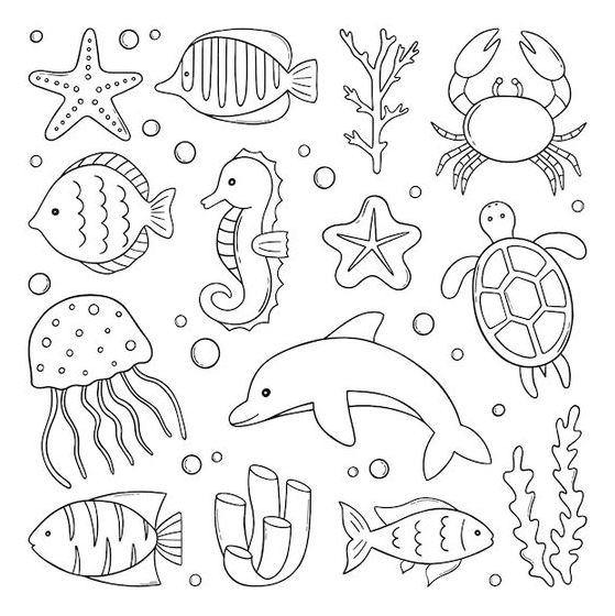 Marine Life Drawing   Hand Drawn Set Of Fish And Wild Marine Animals Doodle Sea Life In Sketch Style
