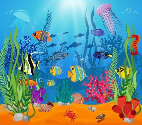 Marine Life Drawing   Illustration About Sea Life Animals Plants Composition Colored Cartoon With Marine Life And Various Types Of Algae Vector Illustration