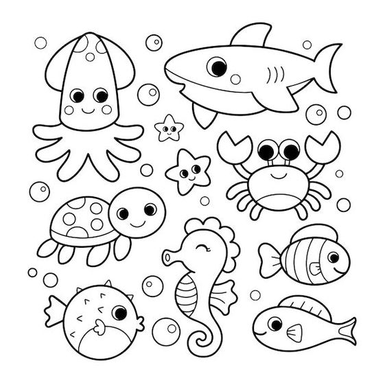 Marine Life Drawing   Ocean Animals Coloring Pages For Kids