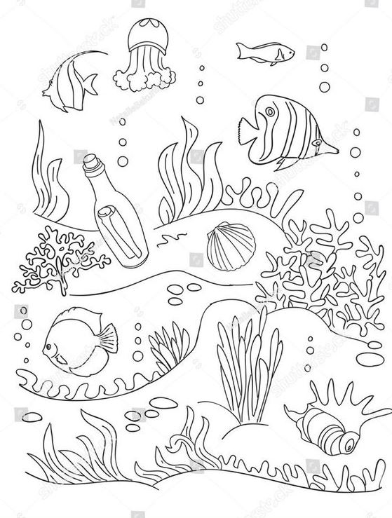 Marine Life Drawing   Sea Drawing Coloring Pages Ocean Drawing Sea Creatures Drawing