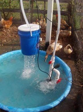 Diy Duck Enclosure Ideas   Duck Pond Filter & Shower With Lots Of Pictures Duck Pond Raising Backyard Chickens Backyard Chicken Farming Backyard Ducks Chickens Backyard Chicken Coop Garden