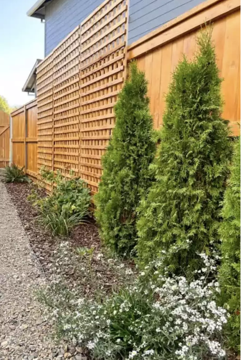 Wood Fence Ideas   Add A Trellis To The Fence