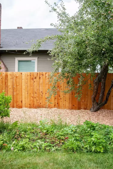 Wood Fence Ideas   Stain Your Fence To Ensure Longevity