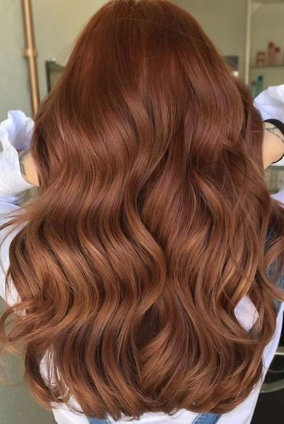 Best Fall Hair Colors That Dominate The Whole Season Spicy Auburn Ginger Hair Color Hair Color Auburn Cinnamon Hair Copper Brown Hair Cinnamon Hair Colors Brown Hair Inspo