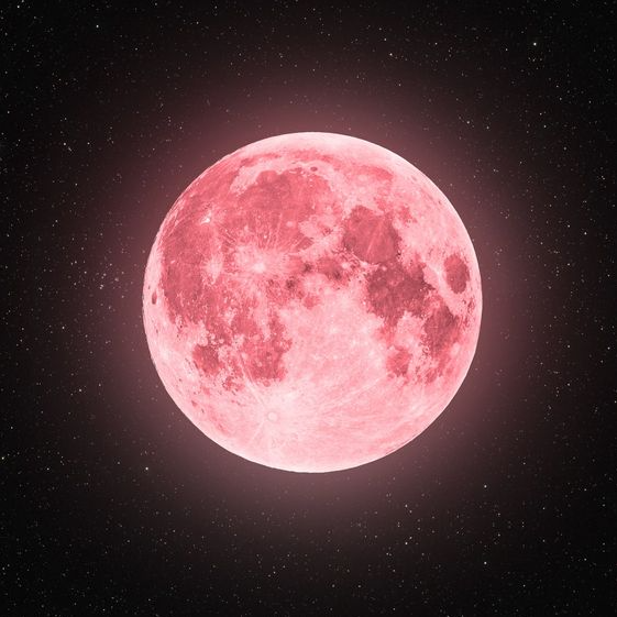 Planet   How The Strawberry Supermoon On June 14 Will Impact You Astrologically