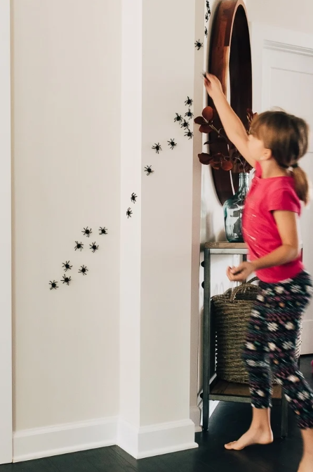 Create A Trail Of Spiders On The Wall