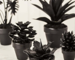 Spray Paint Faux Succulents Black