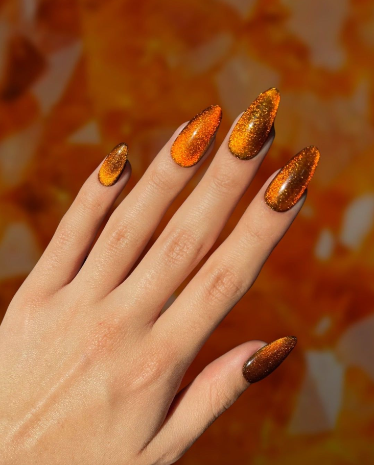 Cateye Fire Orange Nail Inspired Nail Length Halloween Nails November Nails Halloween Nail Designs Nail Shape Nails