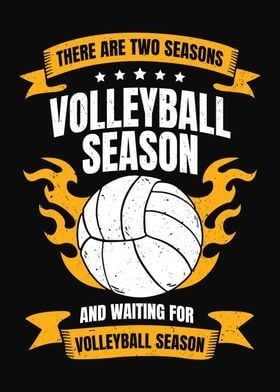 Metal Poster Displate Volleyball Player Season