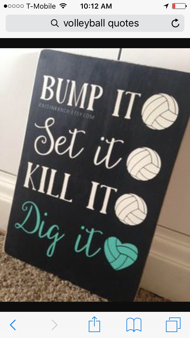 Volleyball Poster Ideas For Players Diy