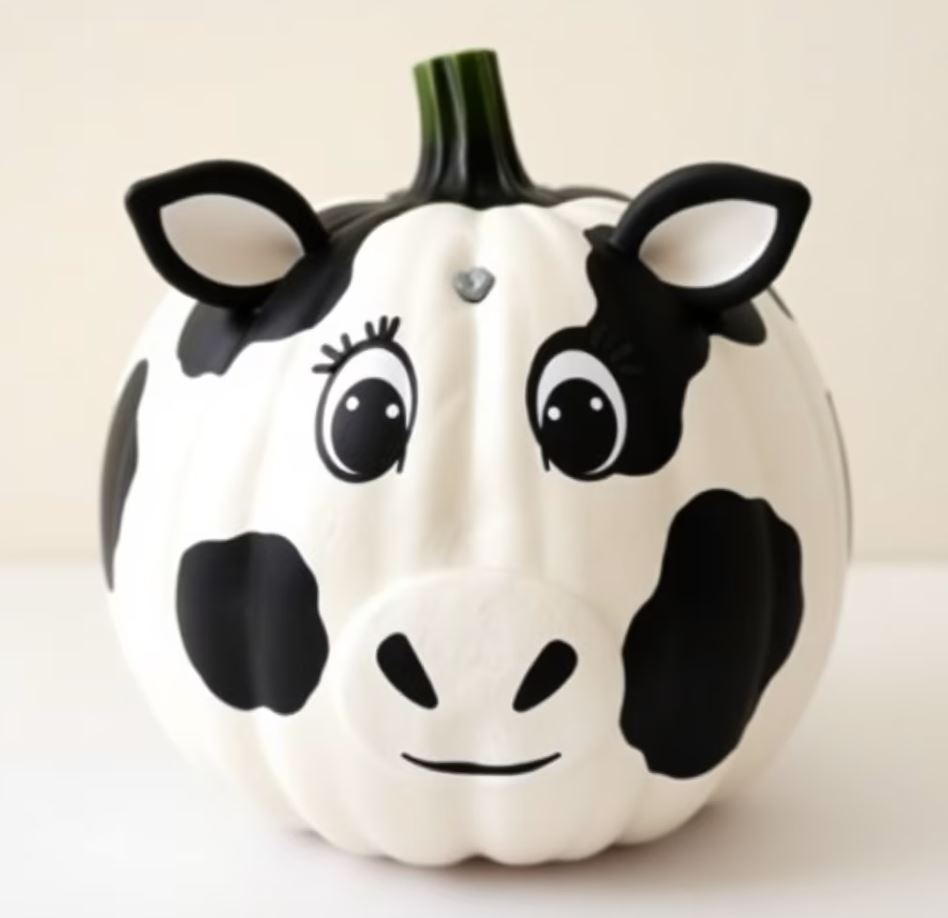 Best Cow Pumpkin Gallery