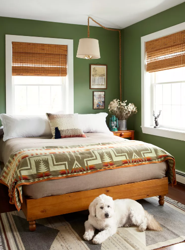 Calming Green Paint Color