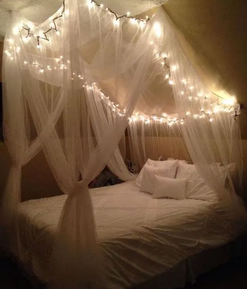 Canopy Bed Room Idea