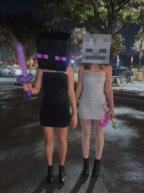 Minecraft Duo Costume