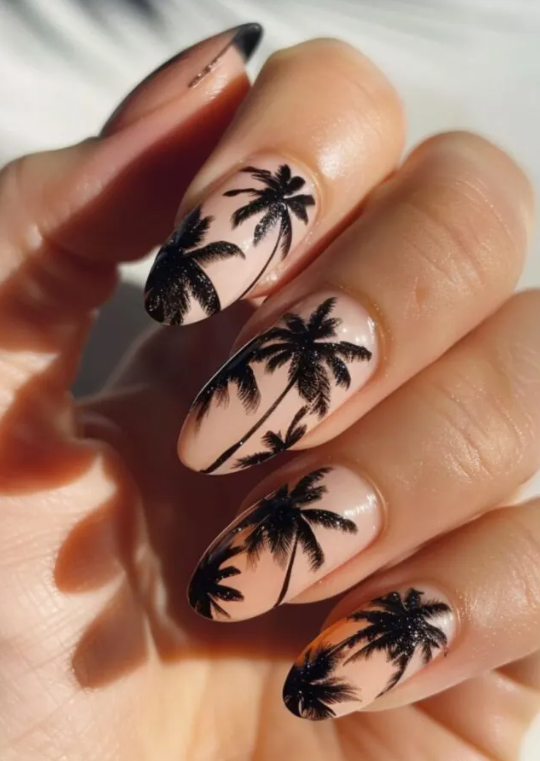 Palm Trees