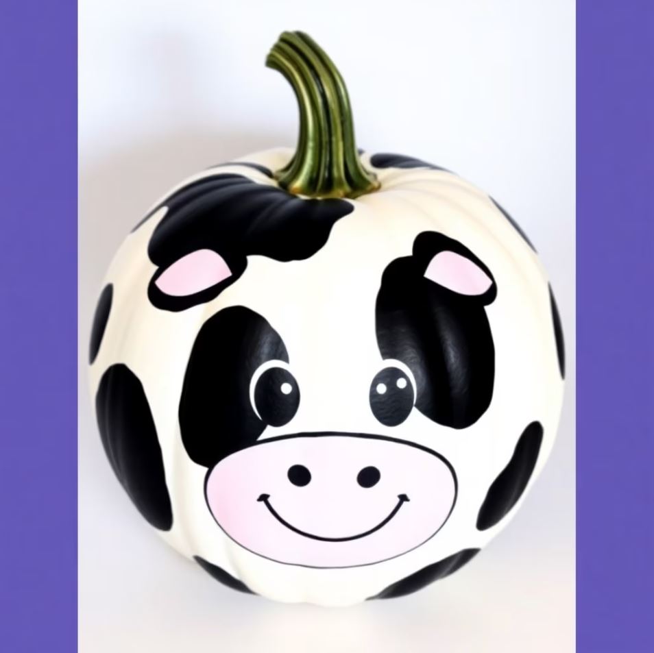 Stunning Cow Pumpkin Photo